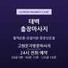 고원온기방문마사지
