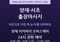 서초구 출장마사지 - 양재 서초 R&D 대… 출장마사지