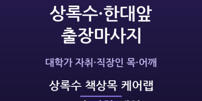 상록수 책상목 케어랩