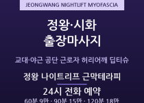 시흥 출장마사지 - 정왕 시화공단 3교대 … 출장마사지
